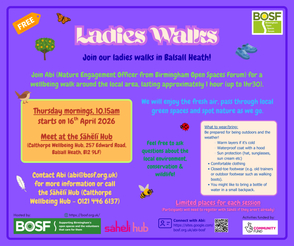 Ladies Walks flyer