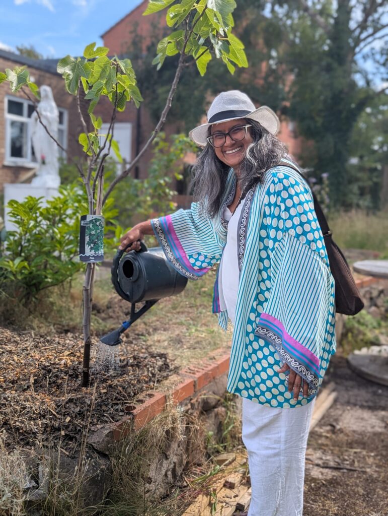 Waterig in the new fig tree