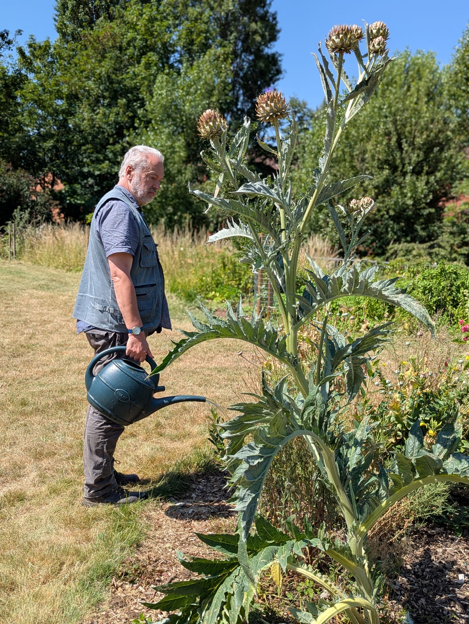 Hot work keeping plants cool