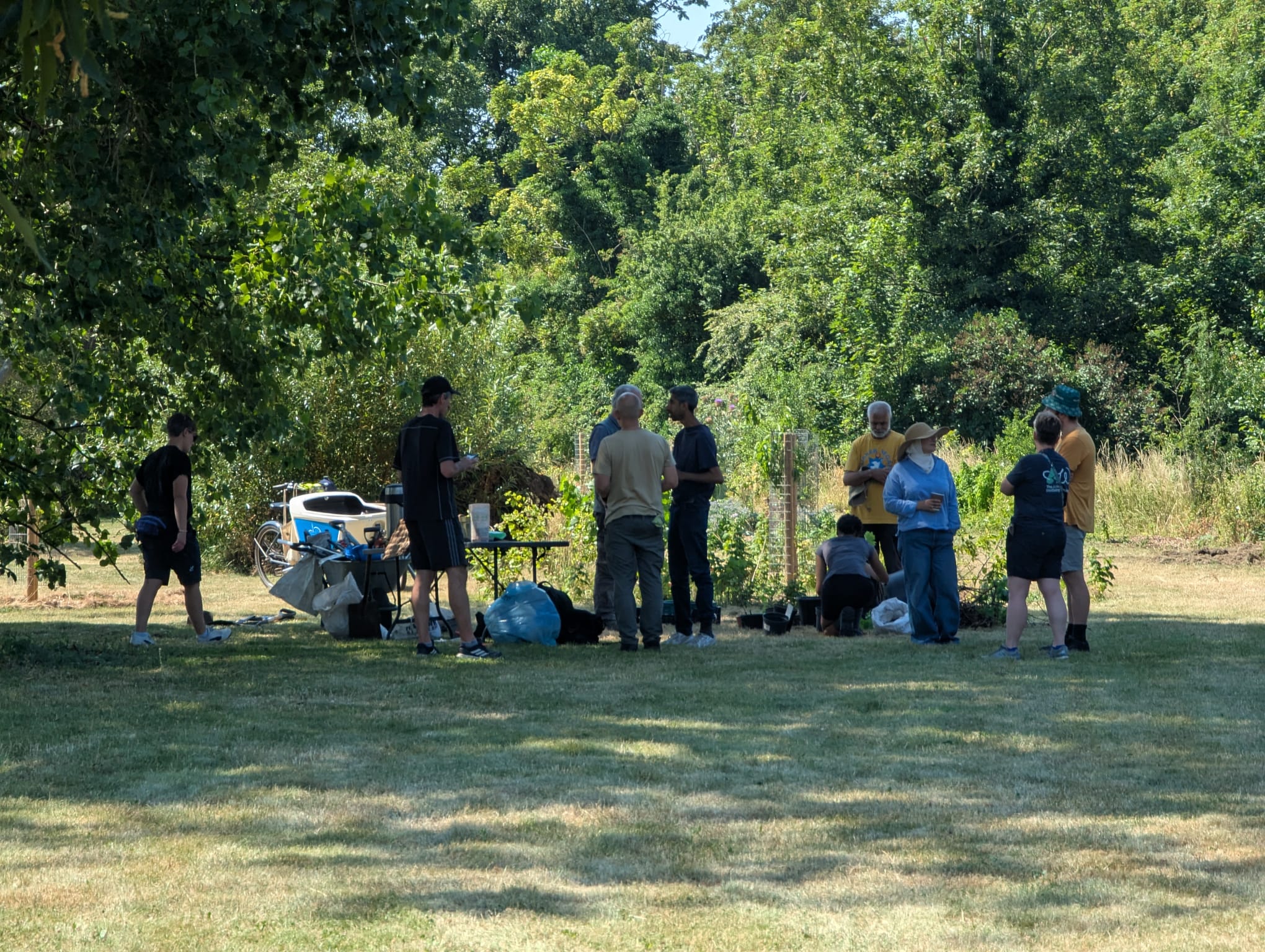 Shade and chat iunder the trees