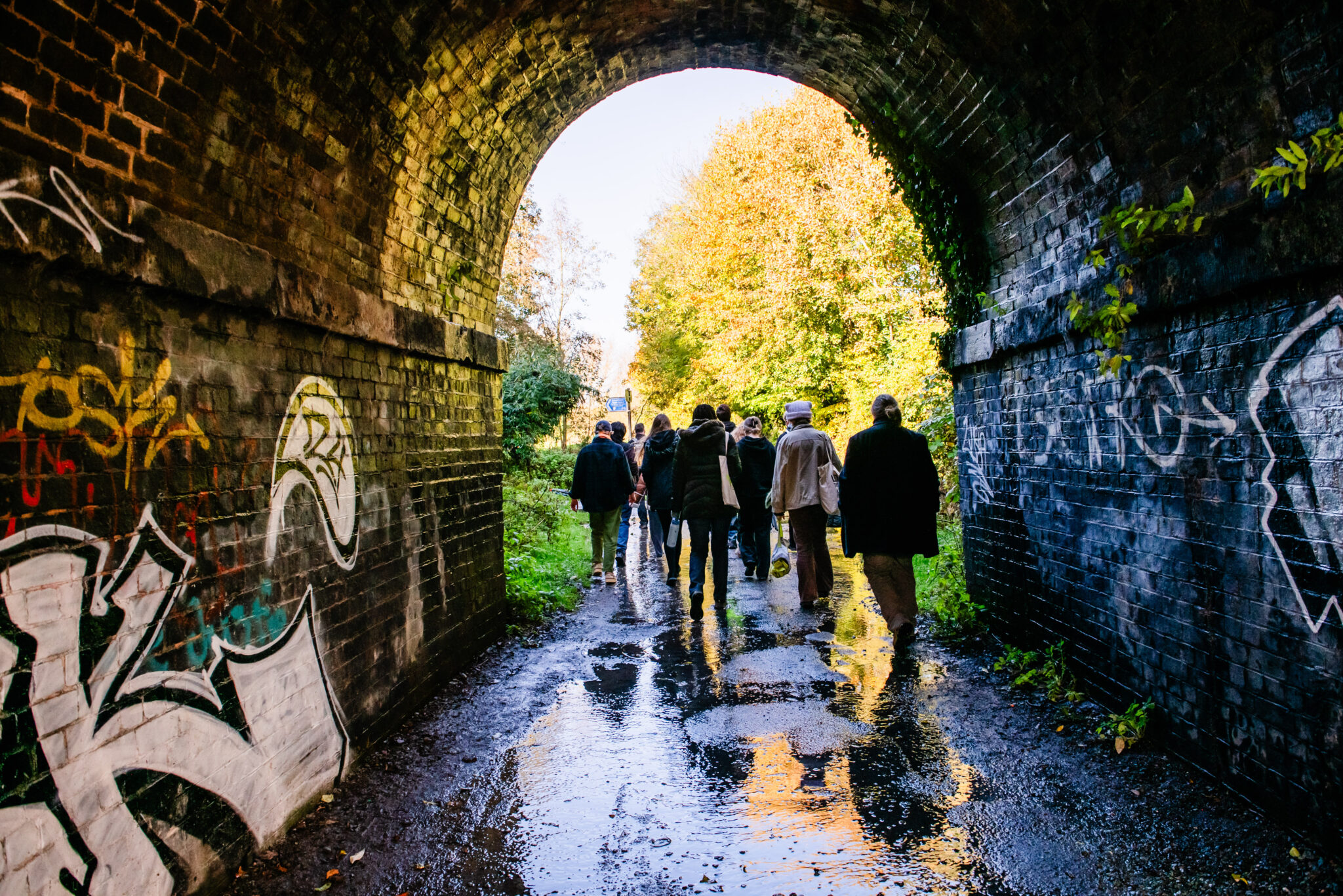 Wildlife Trusts seek Youth Leadership